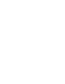 Biosistemi Informatici                         Tessuti Connettivi    	                  Ecosistemi Aziendali       	               Intensa Collaborazione     	 Razionalizzazione delle Risorse      Alta Disponibilita' del Servizio